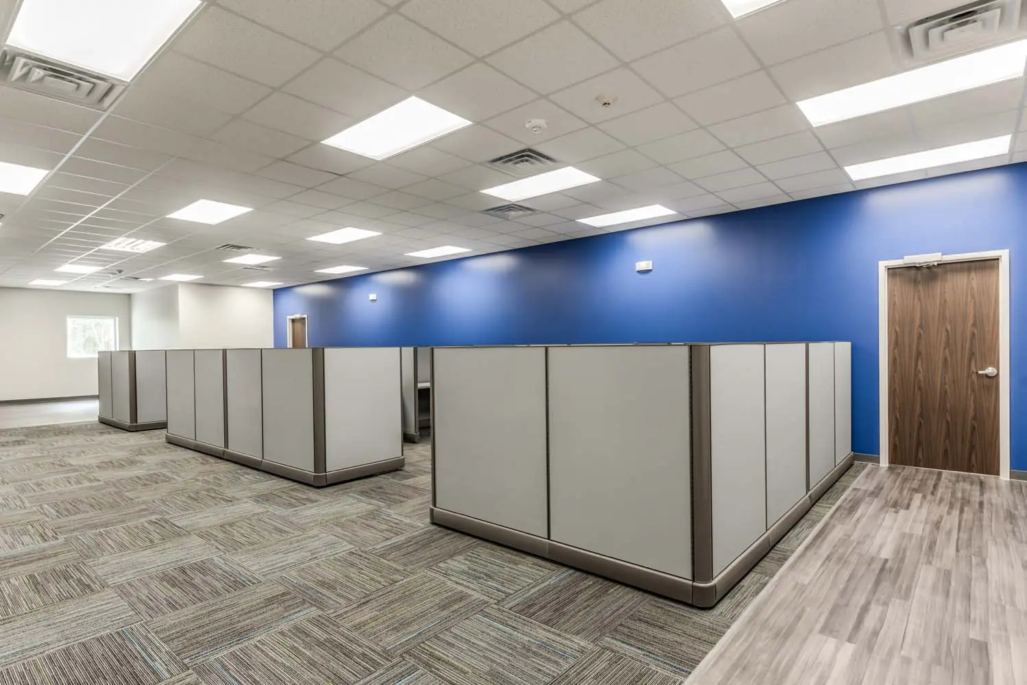 Wide view of the FSR Services bullpen with multiple cubicle pods set against a long blue accent wall