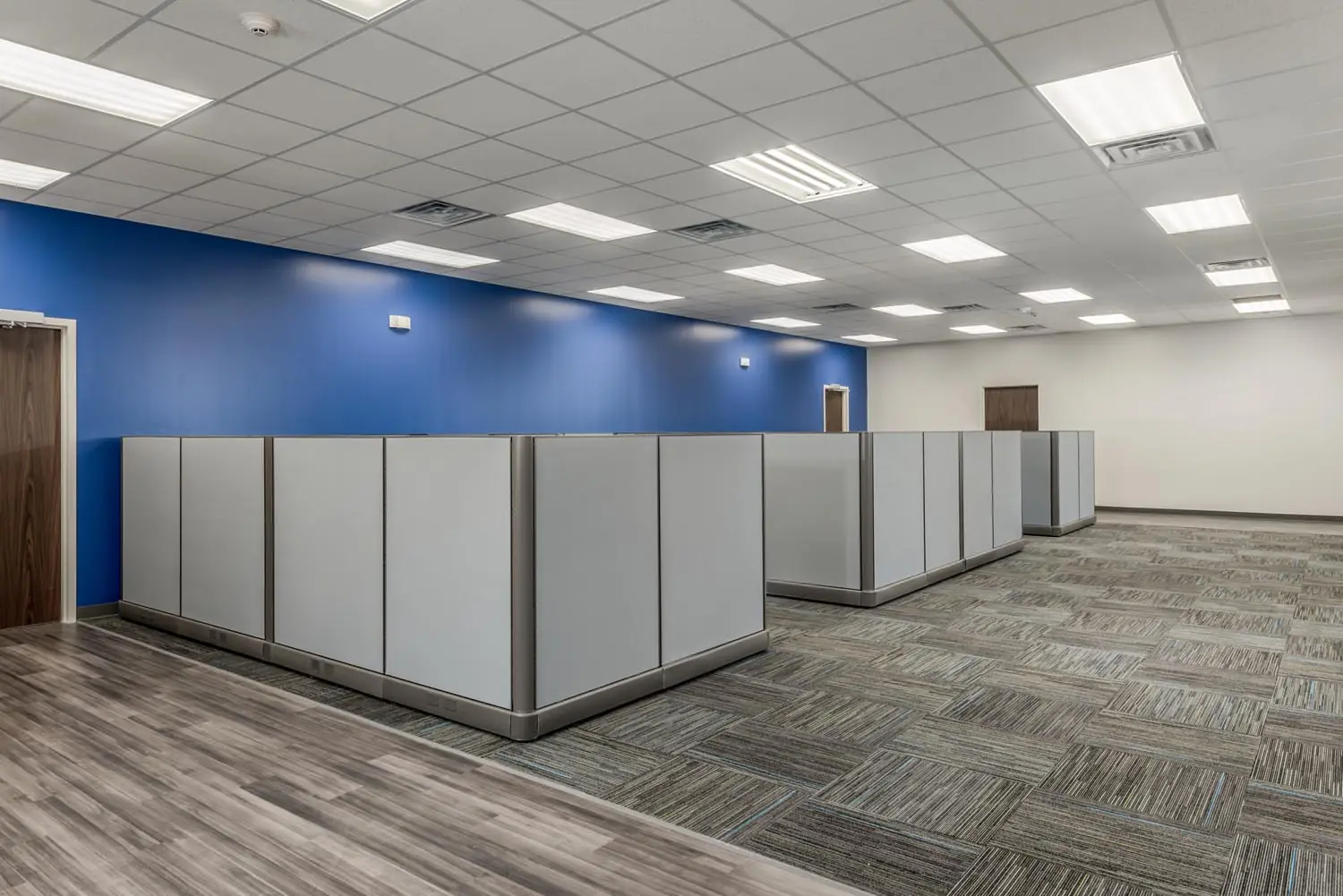 Open office cubicle pods at FSR Services lined along a blue accent wall with carpet tile and vinyl plank flooring
