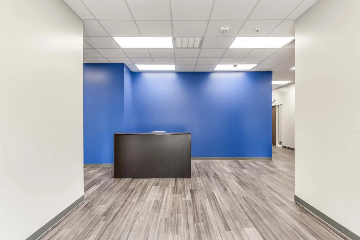 Reception area at FSR Services with a freestanding desk in front of a blue accent wall