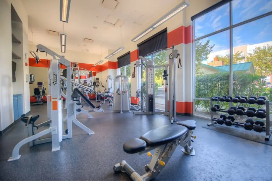 On-site fitness center at The Lex Student Housing featuring strength equipment, free weights, and floor-to-ceiling windows