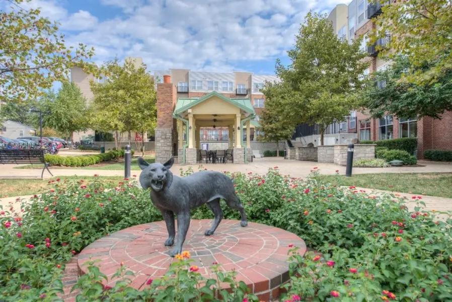 Landscaped courtyard plaza at The Lex Student Housing with a wildcat statue centerpiece and surrounding apartment buildings