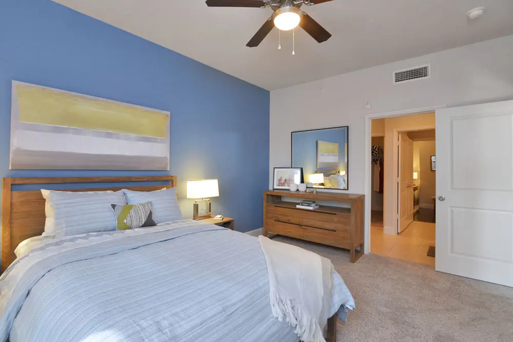 Bedroom in a Post Oak Apartments unit with blue accent wall and walk-in closet beyond